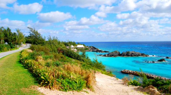 Bermuda-1