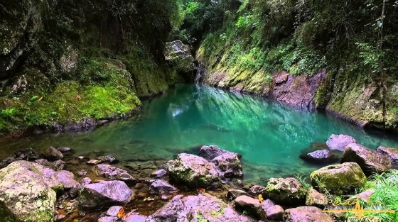 Charco azul-1