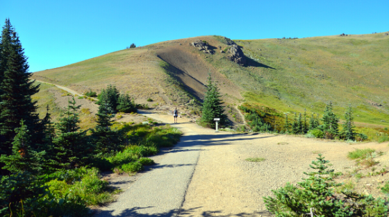 Hurricane Ridge-1