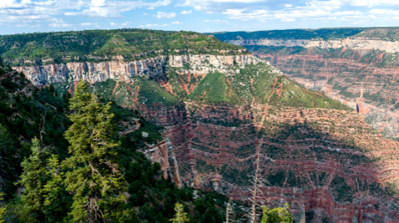 North Rim